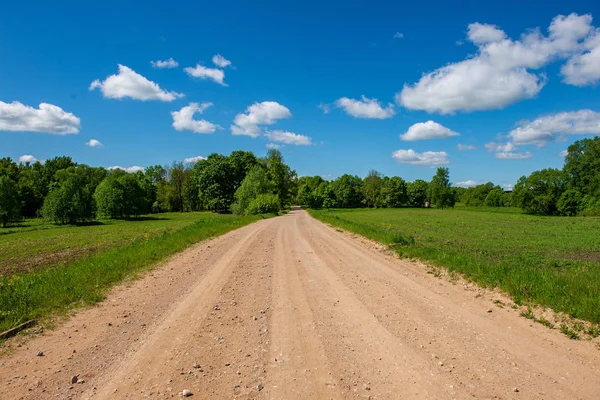boş kırsal yol bahar mevsiminde