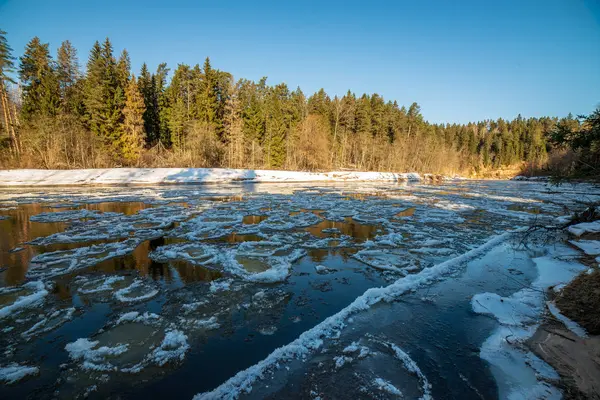 Kumtaşı Kayalıklarla Letonya Kış Gauja Nehri Kıyısında — Stok fotoğraf