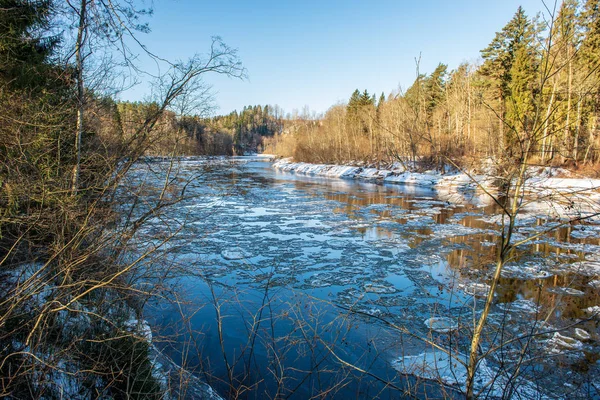 Falaises Grès Sur Rive Rivière Gauja Hiver Lettonie — Photo