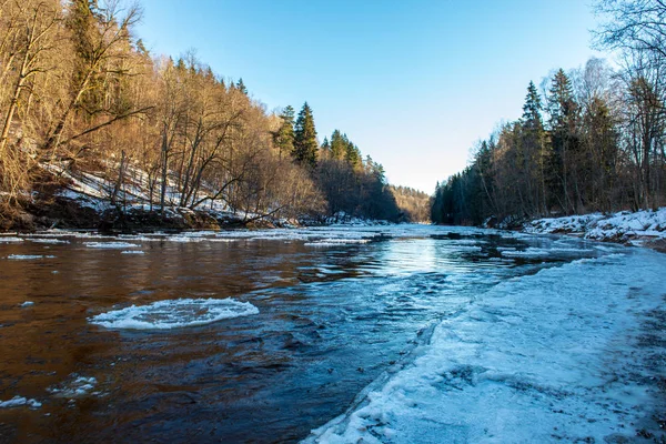 Acantilados Arenisca Orilla Del Río Gauja Invierno Letonia — Foto de Stock