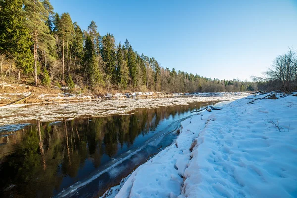 Sandstensklippor Stranden Floden Gauja Vintertid Lettland — Stockfoto