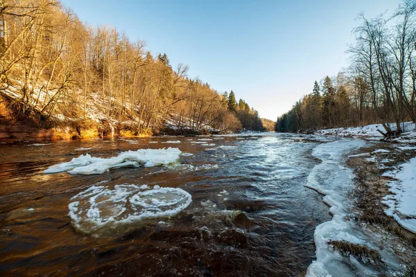 Acantilados Arenisca Orilla Del Río Gauja Invierno Letonia — Foto de Stock