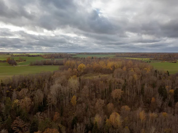 Воздушный Вид Сельскую Местность Змеиной Рекой Лесу Латвия — стоковое фото