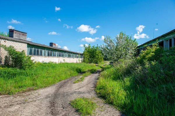 Camino Rural Vacío Durante Temporada Primavera — Foto de Stock