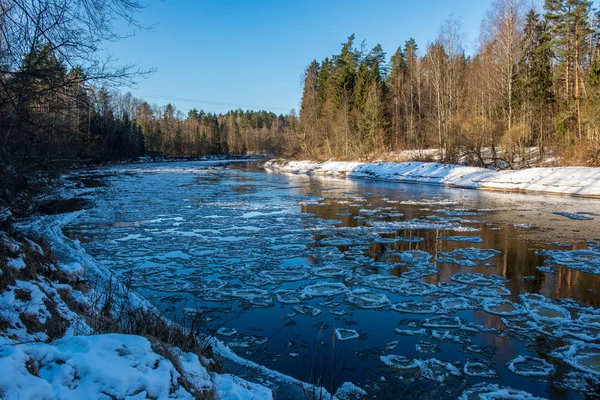 kumtaşı kayalıklarla Letonya kış Gauja Nehri kıyısında