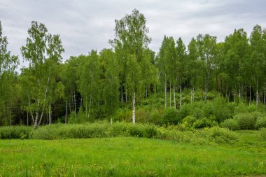 boş kırsal yol bahar mevsiminde