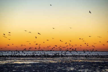 Dondurulmuş deniz üzerinde kırmızı günbatımı manzaralı görünüm