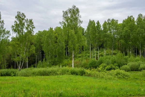 boş kırsal yol bahar mevsiminde