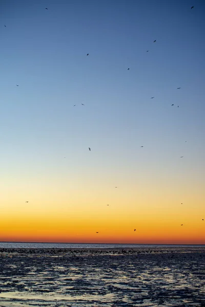 Piękny Widok Zachód Słońca Nad Zamarznięte Morze — Zdjęcie stockowe