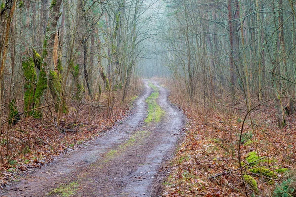 春のシーズン中に空の田舎道 — ストック写真