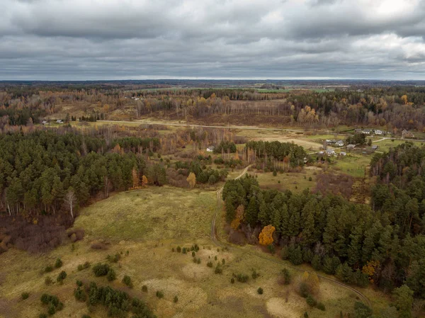 Воздушный Вид Сельскую Местность Змеиной Рекой Лесу Латвия — стоковое фото
