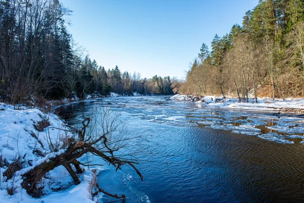 kumtaşı kayalıklarla Letonya kış Gauja Nehri kıyısında