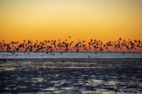 Vista Panorâmica Pôr Sol Vermelho Sobre Mar Congelado — Fotografia de Stock