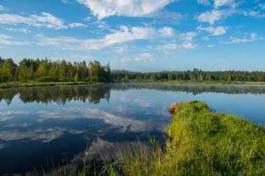 puslu sabah göl mavi gökyüzü ile sakin su ıslak çimen ve sis yansımaları