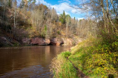 mavi gökyüzü ve bulutlar Gauja Letonya Nehri'nin sakin suda sonbaharda yansıtan. nehir kıyısında yürümek. sonbahar günü temizleyin. geniş açılı görünüş