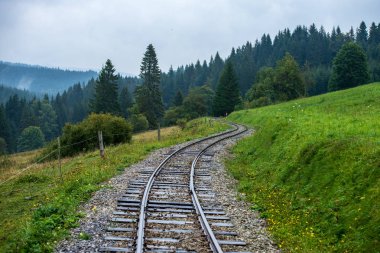 ıslak yeşil orman dalgalı günlük demiryolu parça ile Slovakya Orava içinde taze çayır