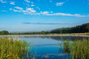 puslu sabah göl mavi gökyüzü ile sakin su ıslak çimen ve sis yansımaları