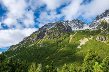 Slovakça tatra Dağları yaz aylarında. yeşil yamaçları ile dağ zirveleri karla kaplı. güneşli gün.