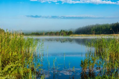 puslu sabah göl mavi gökyüzü ile sakin su ıslak çimen ve sis yansımaları