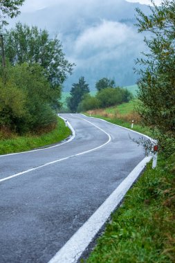 Ormandaki ağaçlar ve beyaz çizgiler ile ıslak yüzey kaplama sis ile dağ bölgesinde dalgalı asfalt yol. Slovakya