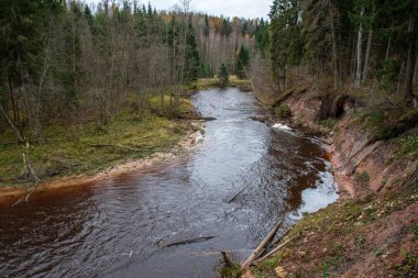 mavi gökyüzü ve bulutlar Gauja Letonya Nehri'nin sakin suda sonbaharda yansıtan. nehir kıyısında yürümek. sonbahar günü temizleyin. geniş açılı görünüş