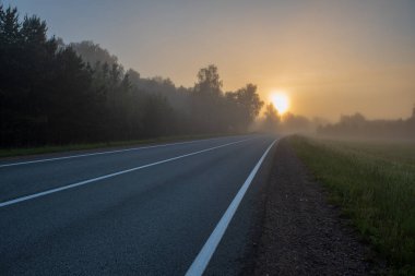 puslu Temmuz sabah boyalı beyaz çizgili boş asfalt yol