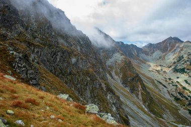 Slovakça Tatra Dağları'nda bulutların üzerinde yürüme. sisli sonbahar sabahı turistik rotalar taşlarla işaretlenmiş