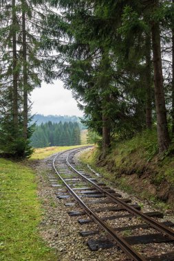 ıslak yeşil orman dalgalı günlük demiryolu parça ile Slovakya Orava içinde taze çayır