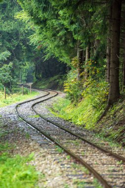 ıslak yeşil orman dalgalı günlük demiryolu parça ile Slovakya Orava içinde taze çayır
