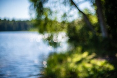 mavi su taze yeşil ağaç yaprakları arka plan bulanıklık. tasarım kapakları için renkli kuvvetler