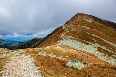 Slovakça Tatra Dağları'nda bulutların üzerinde yürüme. sisli sonbahar sabahı turistik rotalar taşlarla işaretlenmiş