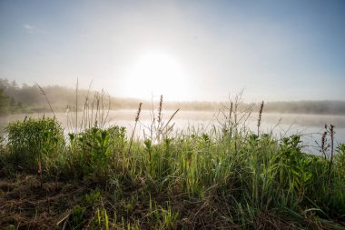 puslu sabah göl mavi gökyüzü ile sakin su ıslak çimen ve sis yansımaları