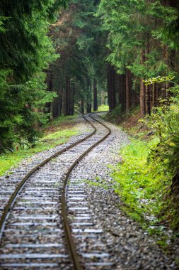 ıslak yeşil orman dalgalı günlük demiryolu parça ile Slovakya Orava içinde taze çayır