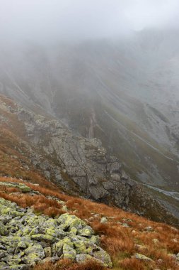 Slovakça Tatra Dağları'nda bulutların üzerinde yürüme. sisli sonbahar sabahı turistik rotalar taşlarla işaretlenmiş