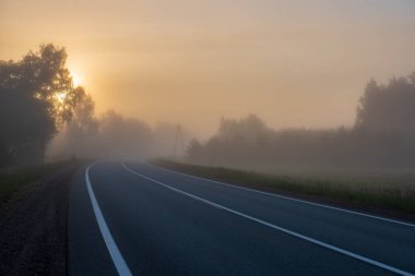 puslu Temmuz sabah boyalı beyaz çizgili boş asfalt yol