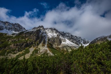 Slovakça tatra Dağları yaz aylarında. yeşil yamaçları ile dağ zirveleri karla kaplı. güneşli gün.
