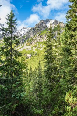 Slovakça tatra Dağları yaz aylarında. yeşil yamaçları ile dağ zirveleri karla kaplı. güneşli gün.