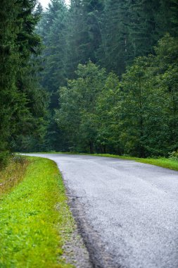 Ormandaki ağaçlar ve beyaz çizgiler ile ıslak yüzey kaplama sis ile dağ bölgesinde dalgalı asfalt yol. Slovakya