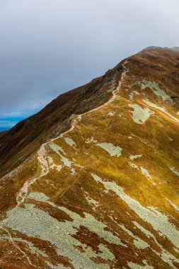 Slovakça Tatra Dağları'nda bulutların üzerinde yürüme. sisli sonbahar sabahı turistik rotalar taşlarla işaretlenmiş