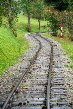 ıslak yeşil orman dalgalı günlük demiryolu parça ile Slovakya Orava içinde taze çayır
