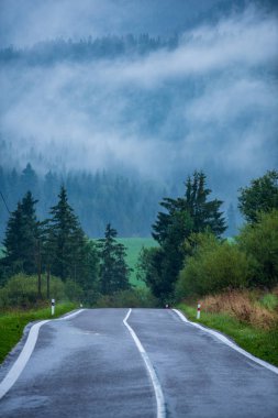 Ormandaki ağaçlar ve beyaz çizgiler ile ıslak yüzey kaplama sis ile dağ bölgesinde dalgalı asfalt yol. Slovakya
