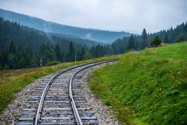 ıslak yeşil orman dalgalı günlük demiryolu parça ile Slovakya Orava içinde taze çayır