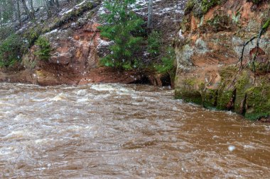 hızlı nehir akışında beyaz kış orman. koyu kahverengi su kar yağışı acele ile bulutlu gün