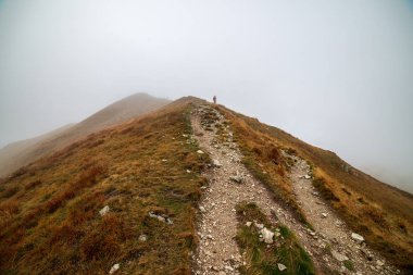 Slovakça Tatra Dağları'nda bulutların üzerinde yürüme. sisli sonbahar sabahı turistik rotalar taşlarla işaretlenmiş