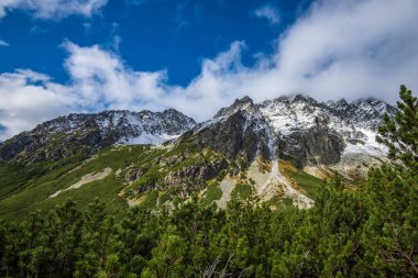 Slovakça tatra Dağları yaz aylarında. yeşil yamaçları ile dağ zirveleri karla kaplı. güneşli gün.