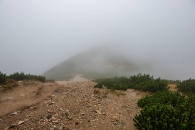 Slovakça Tatra Dağları'nda bulutların üzerinde yürüme. sisli sonbahar sabahı turistik rotalar taşlarla işaretlenmiş