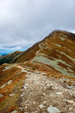 Slovakça Tatra Dağları'nda bulutların üzerinde yürüme. sisli sonbahar sabahı turistik rotalar taşlarla işaretlenmiş