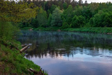 mavi gökyüzü ve bulutlar Gauja Letonya Nehri'nin sakin suda sonbaharda yansıtan. nehir kıyısında yürümek. sonbahar günü temizleyin. geniş açılı görünüş