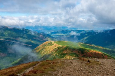 Slovakça Tatra Dağları'nda bulutların üzerinde yürüme. sisli sonbahar sabahı turistik rotalar taşlarla işaretlenmiş