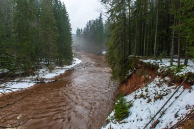 hızlı nehir akışında beyaz kış orman. koyu kahverengi su kar yağışı acele ile bulutlu gün